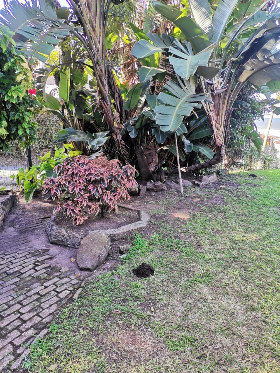 Villa Del Sol Margate Buitenkant foto